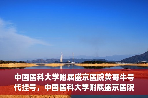 中国医科大学附属盛京医院黄哥牛号代挂号，中国医科大学附属盛京医院黄哥牛号代挂号背后的故事与真相揭秘