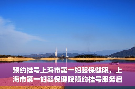 预约挂号上海市第一妇婴保健院，上海市第一妇婴保健院预约挂号服务启动