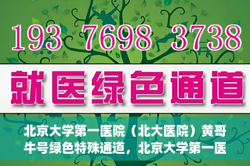 北京大学第一医院（北大医院）黄哥牛号绿色特殊通道，北京大学第一医院绿色特殊通道，黄哥牛号的探索与实践