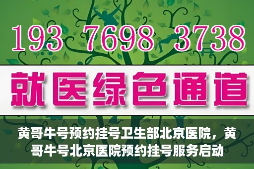 黄哥牛号预约挂号卫生部北京医院，黄哥牛号北京医院预约挂号服务启动