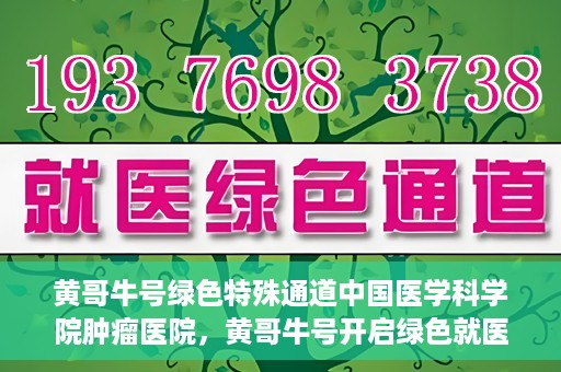 黄哥牛号绿色特殊通道中国医学科学院肿瘤医院，黄哥牛号开启绿色就医通道，中国医学科学院肿瘤医院专注诊疗新篇章