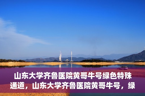 山东大学齐鲁医院黄哥牛号绿色特殊通道，山东大学齐鲁医院黄哥牛号，绿色特殊通道开启健康之门