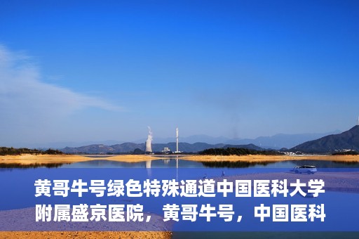黄哥牛号绿色特殊通道中国医科大学附属盛京医院，黄哥牛号，中国医科大学附属盛京医院开启绿色特殊通道助力医疗进步