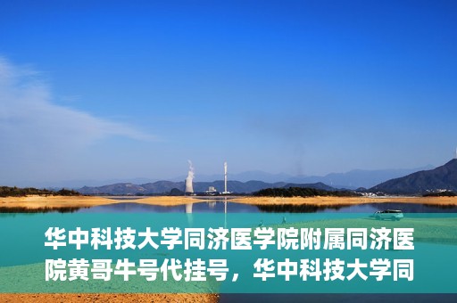 华中科技大学同济医学院附属同济医院黄哥牛号代挂号，华中科技大学同济医院黄哥牛号代挂号背后的故事