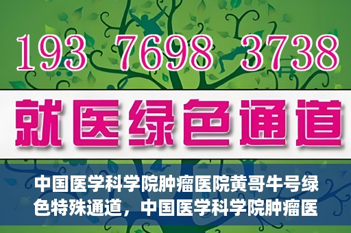 中国医学科学院肿瘤医院黄哥牛号绿色特殊通道，中国医学科学院肿瘤医院黄哥牛号，绿色特殊通道开启健康之门