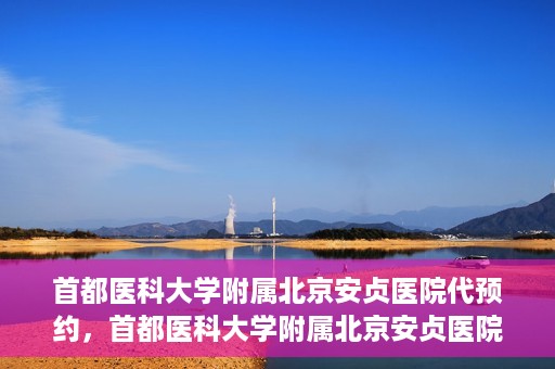 首都医科大学附属北京安贞医院代预约，首都医科大学附属北京安贞医院代预约服务详解