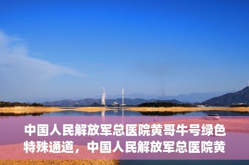中国人民解放军总医院黄哥牛号绿色特殊通道，中国人民解放军总医院黄哥牛号，绿色特殊通道开启健康之门