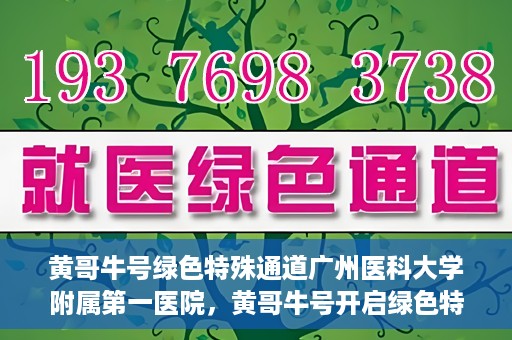 黄哥牛号绿色特殊通道广州医科大学附属第一医院，黄哥牛号开启绿色特殊通道，广州医科大学附属第一医院创新医疗体验