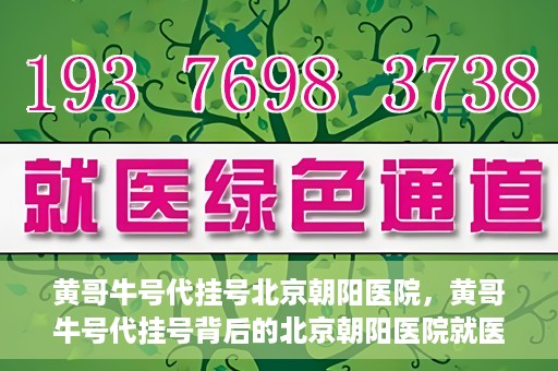 黄哥牛号代挂号北京朝阳医院，黄哥牛号代挂号背后的北京朝阳医院就医现象观察