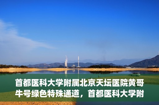 首都医科大学附属北京天坛医院黄哥牛号绿色特殊通道，首都医科大学附属北京天坛医院黄哥牛号，绿色特殊通道开启健康之门