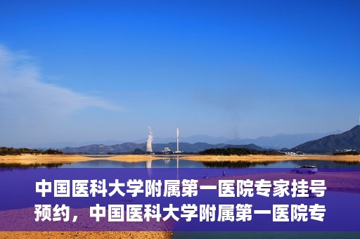 中国医科大学附属第一医院专家挂号预约，中国医科大学附属第一医院专家挂号预约攻略，一站式解决您的就医难题