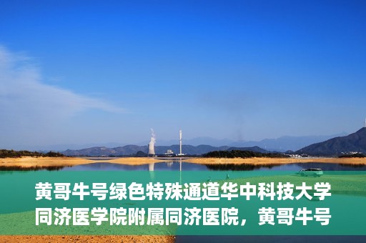 黄哥牛号绿色特殊通道华中科技大学同济医学院附属同济医院，黄哥牛号绿色特殊通道，华中科技大学同济医学院附属同济医院的探索与实践