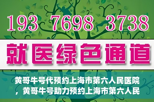 黄哥牛号代预约上海市第六人民医院，黄哥牛号助力预约上海市第六人民医院服务号