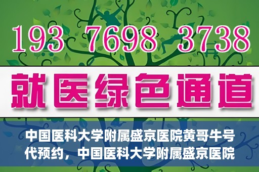 中国医科大学附属盛京医院黄哥牛号代预约，中国医科大学附属盛京医院黄哥牛号预约服务解析