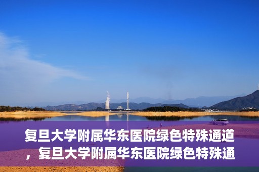 复旦大学附属华东医院绿色特殊通道，复旦大学附属华东医院绿色特殊通道，健康之路的新篇章