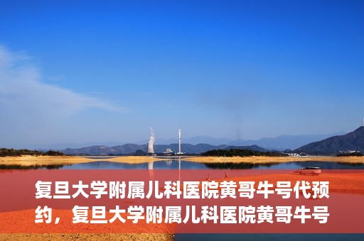 复旦大学附属儿科医院黄哥牛号代预约，复旦大学附属儿科医院黄哥牛号预约服务解析