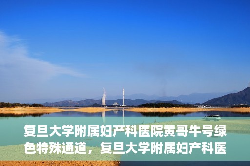 复旦大学附属妇产科医院黄哥牛号绿色特殊通道，复旦大学附属妇产科医院黄哥牛号，绿色特殊通道开启健康之门