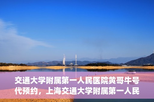 交通大学附属第一人民医院黄哥牛号代预约，上海交通大学附属第一人民医院黄哥预约挂号攻略，便捷预约，轻松就医