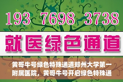 黄哥牛号绿色特殊通道郑州大学第一附属医院，黄哥牛号开启绿色特殊通道，助力郑州大学第一附属医院高效就医体验