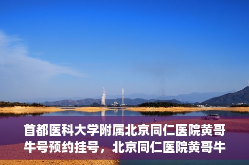 首都医科大学附属北京同仁医院黄哥牛号预约挂号，北京同仁医院黄哥牛号预约挂号攻略，专业医疗服务的便捷通道
