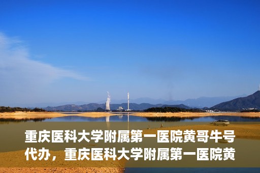 重庆医科大学附属第一医院黄哥牛号代办，重庆医科大学附属第一医院黄哥牛号代办服务详解