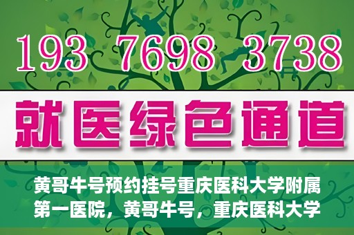 黄哥牛号预约挂号重庆医科大学附属第一医院，黄哥牛号，重庆医科大学附属第一医院预约挂号服务开启