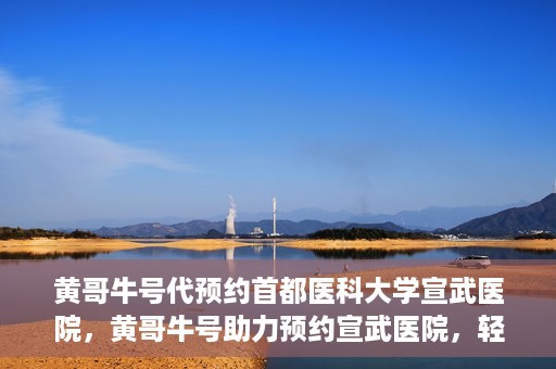 黄哥牛号代预约首都医科大学宣武医院，黄哥牛号助力预约宣武医院，轻松就医体验开启