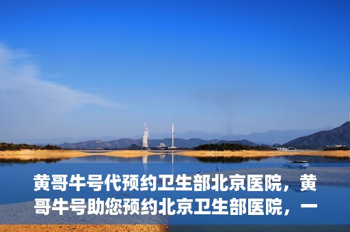 黄哥牛号代预约卫生部北京医院，黄哥牛号助您预约北京卫生部医院，一站式便捷服务开启