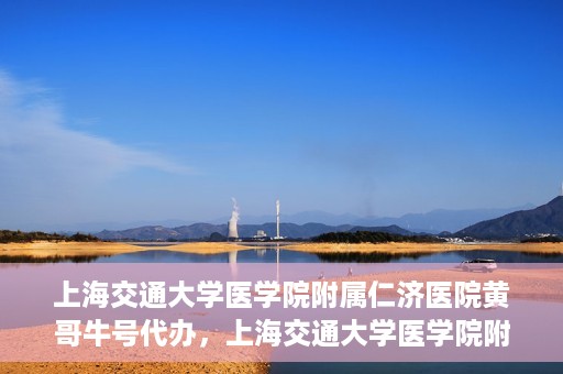 上海交通大学医学院附属仁济医院黄哥牛号代办，上海交通大学医学院附属仁济医院黄哥牛号代办服务详解
