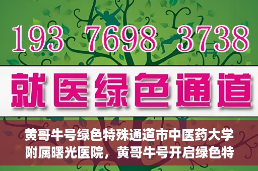 黄哥牛号绿色特殊通道市中医药大学附属曙光医院，黄哥牛号开启绿色特殊通道，市中医药大学附属曙光医院倾力打造健康新篇章