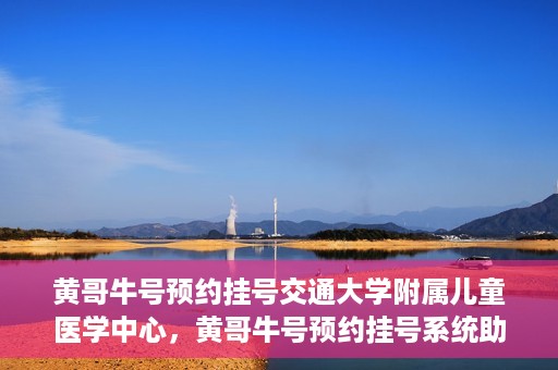 黄哥牛号预约挂号交通大学附属儿童医学中心，黄哥牛号预约挂号系统助力交通大学附属儿童医学中心就医体验升级