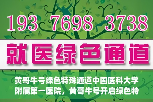 黄哥牛号绿色特殊通道中国医科大学附属第一医院，黄哥牛号开启绿色特殊通道，中国医科大学附属第一医院助力健康中国行动