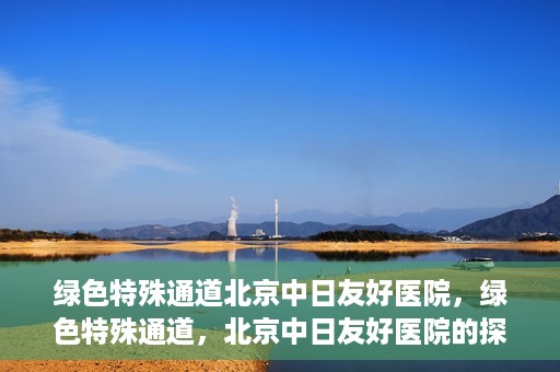 绿色特殊通道北京中日友好医院，绿色特殊通道，北京中日友好医院的探索与实践