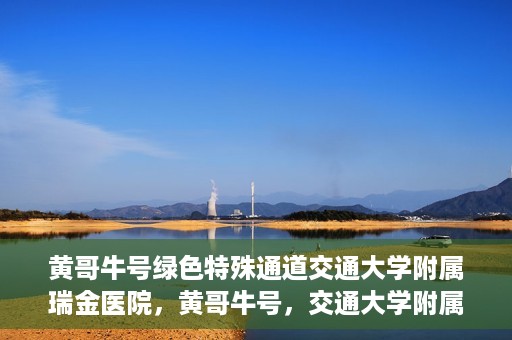 黄哥牛号绿色特殊通道交通大学附属瑞金医院，黄哥牛号，交通大学附属瑞金医院的绿色特殊通道揭秘