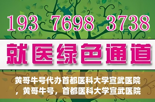 黄哥牛号代办首都医科大学宣武医院，黄哥牛号，首都医科大学宣武医院代办服务