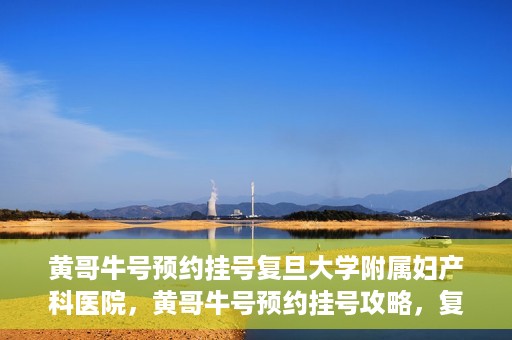 黄哥牛号预约挂号复旦大学附属妇产科医院，黄哥牛号预约挂号攻略，复旦大学附属妇产科医院就医指南