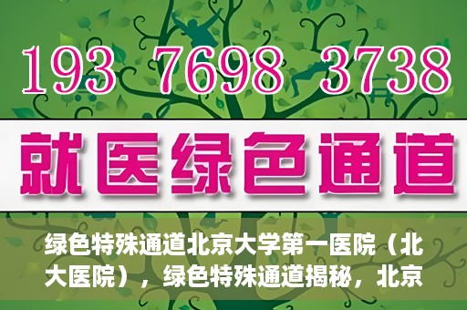 绿色特殊通道北京大学第一医院（北大医院），绿色特殊通道揭秘，北京大学第一医院（北大医院）的医学探索之旅