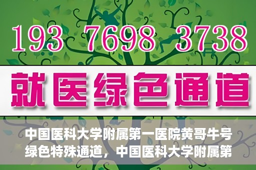中国医科大学附属第一医院黄哥牛号绿色特殊通道，中国医科大学附属第一医院黄哥牛号，绿色特殊通道的开启与探索
