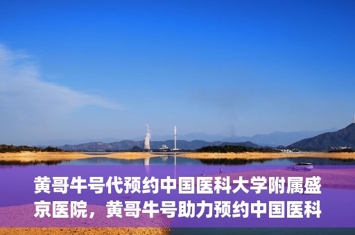 黄哥牛号代预约中国医科大学附属盛京医院，黄哥牛号助力预约中国医科大学附属盛京医院专业服务