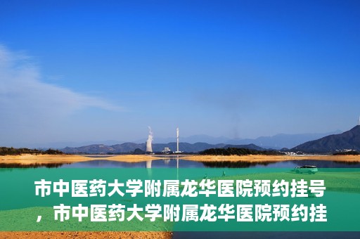 市中医药大学附属龙华医院预约挂号，市中医药大学附属龙华医院预约挂号攻略，一站式解决您的挂号难题
