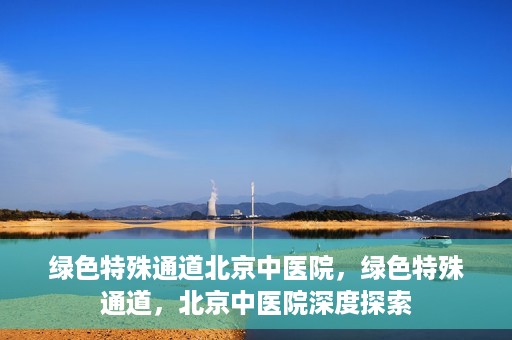 绿色特殊通道北京中医院，绿色特殊通道，北京中医院深度探索