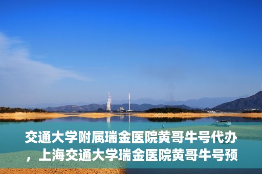 交通大学附属瑞金医院黄哥牛号代办，上海交通大学瑞金医院黄哥牛号预约代办服务解析