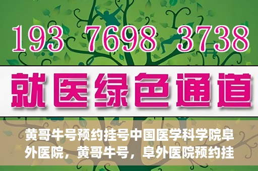 黄哥牛号预约挂号中国医学科学院阜外医院，黄哥牛号，阜外医院预约挂号服务启动，中国医学科学院挂号新体验