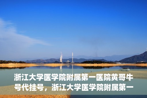 浙江大学医学院附属第一医院黄哥牛号代挂号，浙江大学医学院附属第一医院黄哥牛号代挂号服务解析