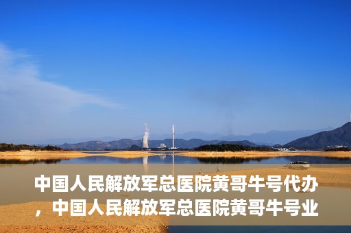 中国人民解放军总医院黄哥牛号代办，中国人民解放军总医院黄哥牛号业务代办揭秘