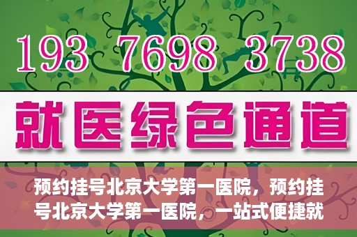 预约挂号北京大学第一医院，预约挂号北京大学第一医院，一站式便捷就医服务攻略