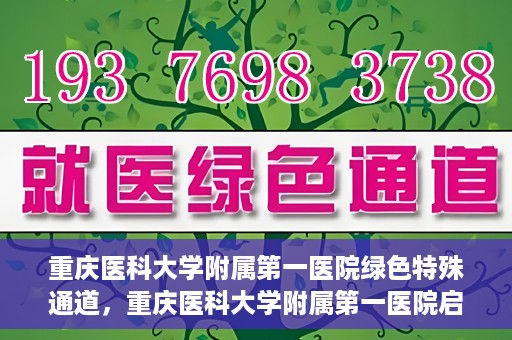 重庆医科大学附属第一医院绿色特殊通道，重庆医科大学附属第一医院启动绿色特殊通道，高效医疗服务的探索与实践