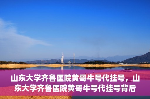 山东大学齐鲁医院黄哥牛号代挂号，山东大学齐鲁医院黄哥牛号代挂号背后的故事与探索
