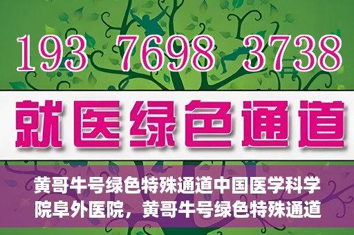 黄哥牛号绿色特殊通道中国医学科学院阜外医院，黄哥牛号绿色特殊通道，阜外医院的中国医学探索之旅