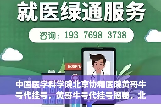 中国医学科学院北京协和医院黄哥牛号代挂号，黄哥牛号代挂号揭秘，北京协和医院挂号背后的故事